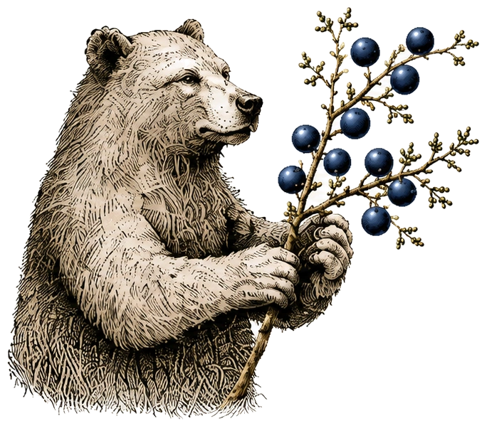 The Forager bear gathering for Spring Gin
