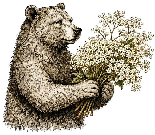 The Forager bear gathering for Summer Gin