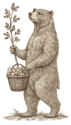 The Forager bear, engraved